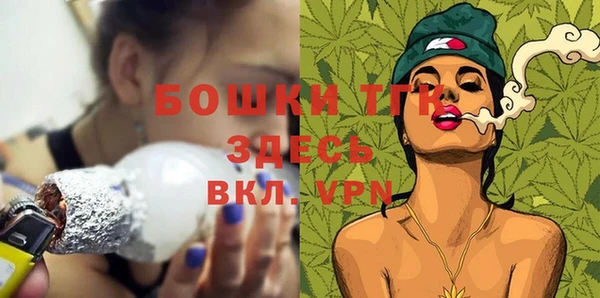 ешки Горняк